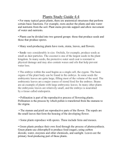Plants Study Guide 4.4