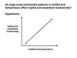 Do large scale continental patterns in rainfall and temperature affect