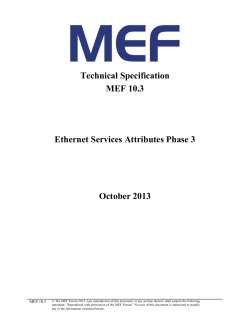 MEF 10.3