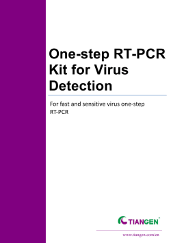 One-step RT-PCR Kit for Virus Detection
