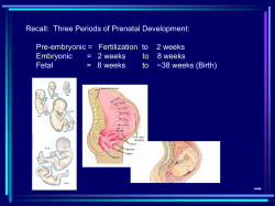 HUMAN REPRODUCTION BIOLOGY 269