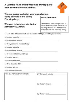 Animals Gallery Worksheets and Activities KS2