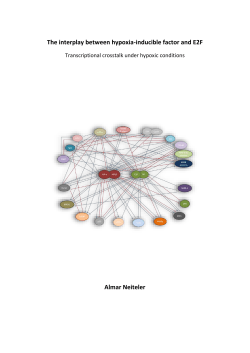 Almar Neiteler - Utrecht University Repository