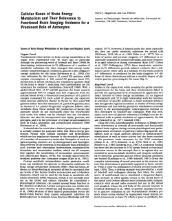 Cellular Bases of Brain Energy Metabolism and Their Relevance to