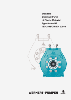 Standard Chemical Pump of Plastic Material Type Series NE ISO