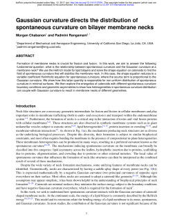 Gaussian Curvature Directs The Distribution Of