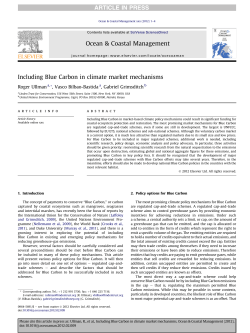 Including Blue Carbon in climate market mechanisms