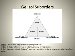 Gelisol Sub