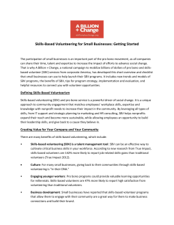 Skills-Based Volunteering for Small Businesses
