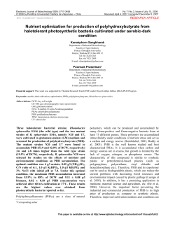 Nutrient optimization for production of polyhydroxybutyrate