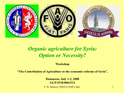 Presentazione di PowerPoint