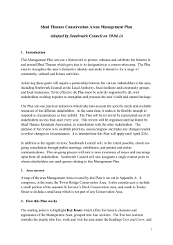 Shad Thames Area Management Plan