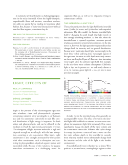 light, effects of