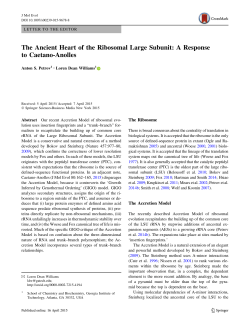 The Ancient Heart of the Ribosomal Large Subunit