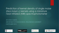 Prediction of kernel density of single maize (Zea mays L.)
