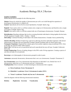 Spring Semester 2009 Final Review