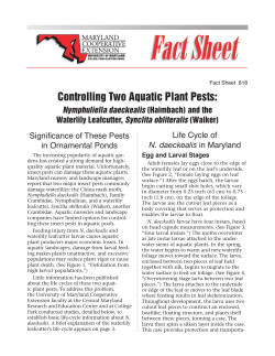 Controlling Two Aquatic Plant Pests