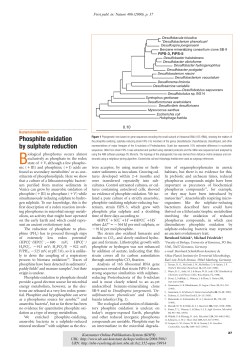 Phosphite oxidation by sulphate reduction