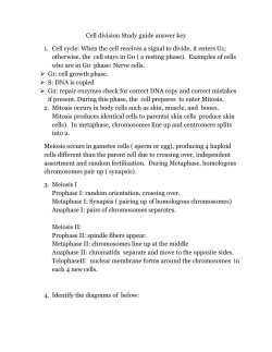 Cell division Study guide answer key Cell cycle: When the cell