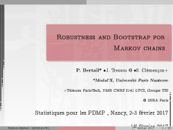 Robustness and Bootstrap for Markov chains