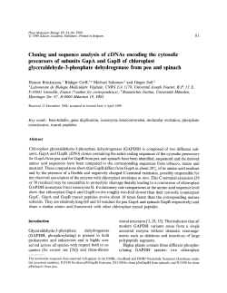 Cloning and sequence analysis of cDNAs encoding the cytosolic