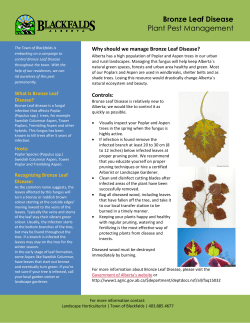 Bronze Leaf Disease Plant Pest Management