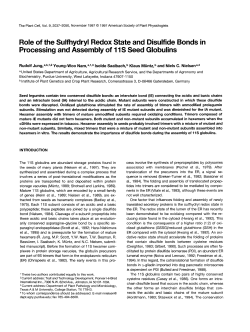 Role of the Sulfhydryl Redox State and Disulfide Bonds
