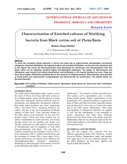 Characterization of Enriched cultures of Nitrifying bacteria