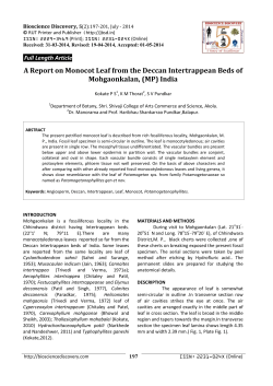 A Report on Monocot Leaf from the Deccan Intertrappean Beds of