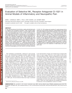 Evaluation of Selective NK1 Receptor Antagonist CI