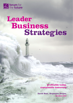 Business Strategies - Forum for the Future