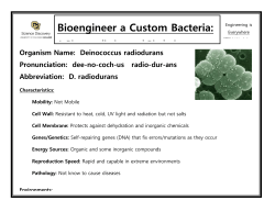 Custom-BacteriaDeinococcus