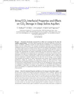Brine/CO2 Interfacial Properties and Effects on CO2 Storage in