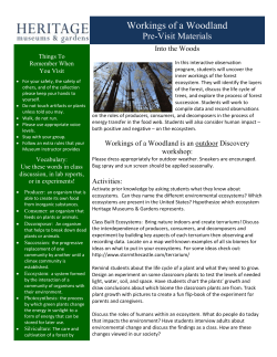 Pre- and Post-Visit Materials:Workings of a Woodland Workshop
