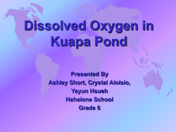 PowerPoint Presentation - The Living Things In Kuapa Pond