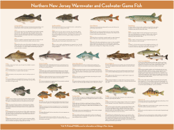 Northern New Jersey Warmwater and Coolwater Game Fish