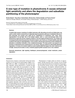 A new type of mutation in phytochrome A causes enhanced light