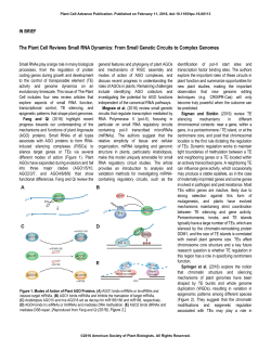 The Plant Cell Reviews Small RNA Dynamics: From Small Genetic