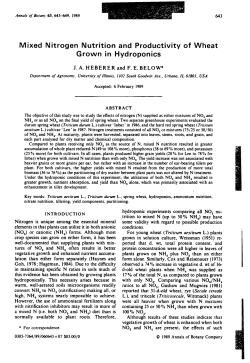 Mixed Nitrogen Nutrition and Productivity of Wheat Grown in