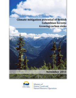 Forest Carbon Management in British Columbia: A Discussion Paper