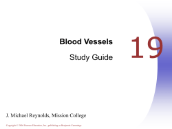 Blood Vessels