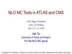 Possible Tasks for NLO MC Group