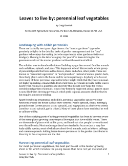 Leaves to live by: perennial leaf vegetables