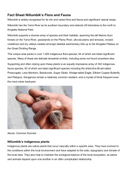 Nillumbik`s indigenous animals