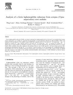 Analysis of a ferric leghemoglobin reductase from cowpea (Vigna