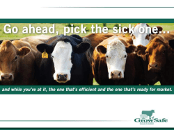 Measures par al body weight - Canadian Hereford Association