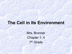 The Cell in Its Environment