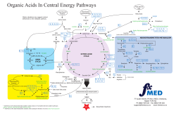 Organic Acids In Central Energy Pathways