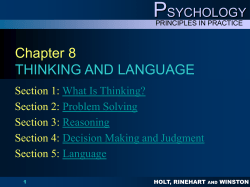 CHAPTER 8 THINKING AND LANGUAGE