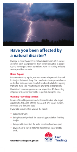 a Natural disasters flyer (PDF size